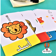 Load image into Gallery viewer, Arabic Alphabet Flashcards